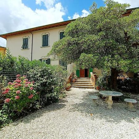 Just Outside The Wall: Free A/C, Bikes And Wifi Lucca Exterior foto