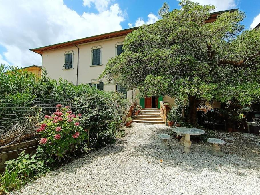 Just Outside The Wall: Free A/C, Bikes And Wifi Lucca Exterior foto